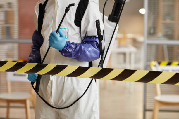 Professional Sewage Cleanup technician working in Spanish Fork, UT